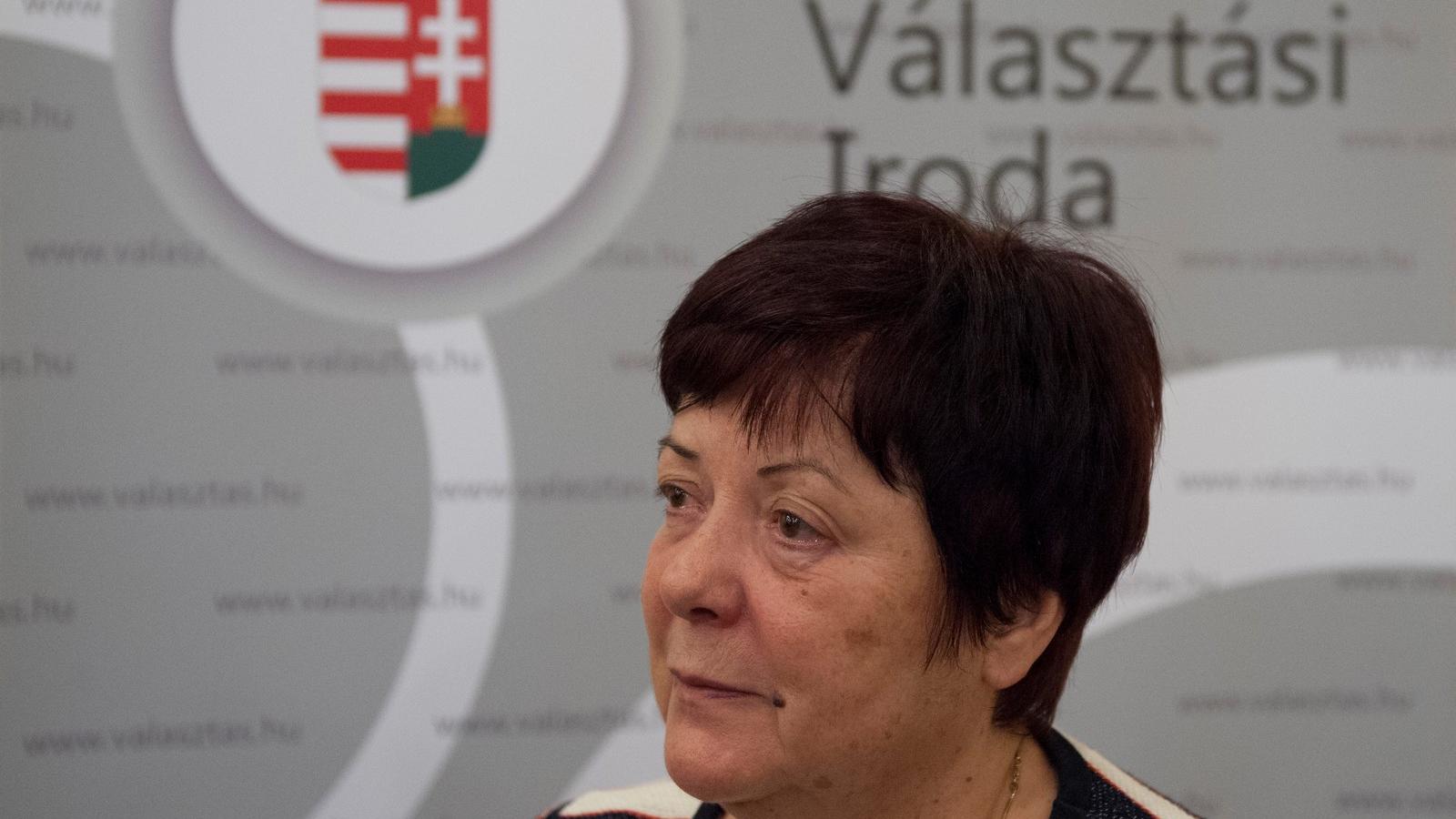 Pálffy Ilona, Nemzeti Választási Iroda elnöke