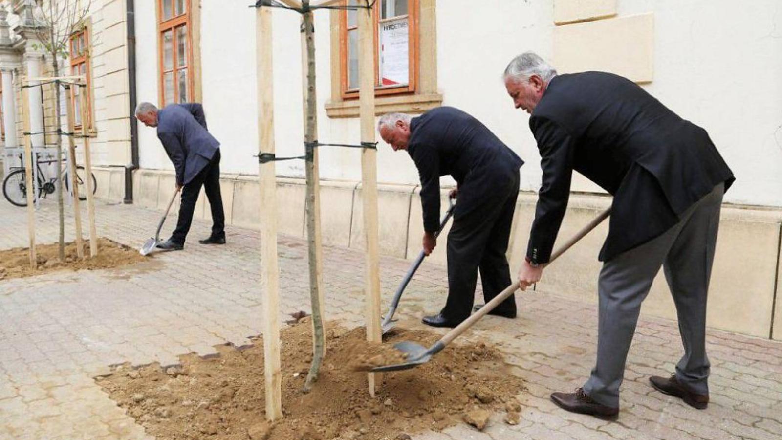 a városházi pletykák szerint inkább a diplomáciai pályán folytatná.