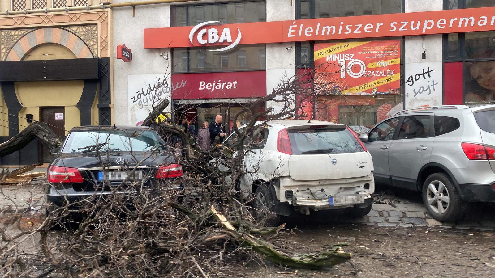 Szélviharban kidőlt fa az Orczy téren