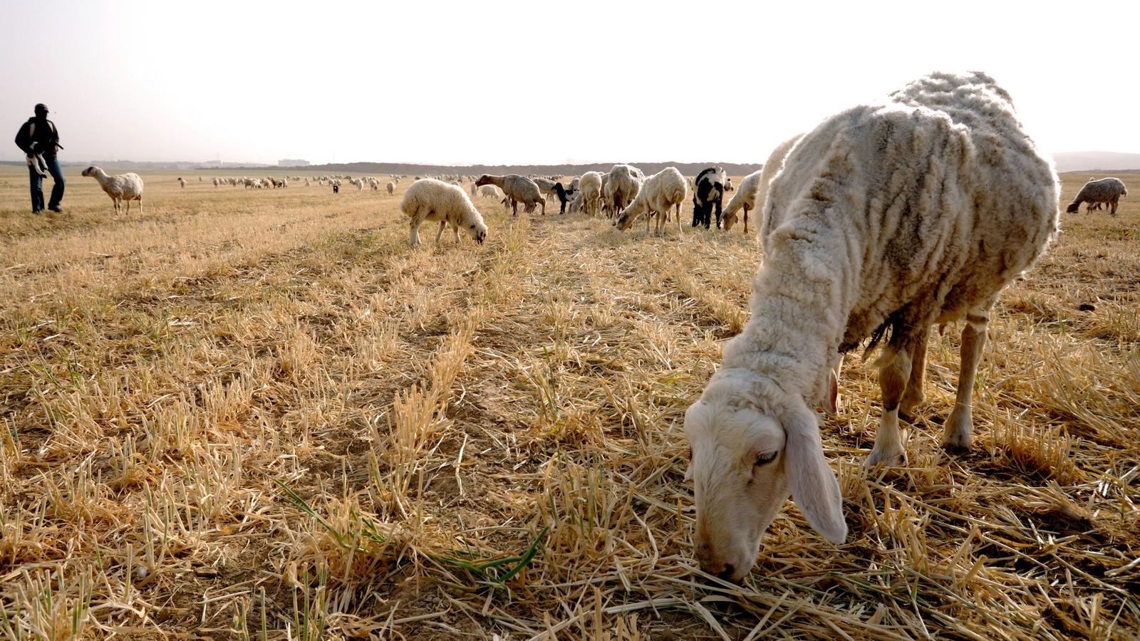 FOTÓ: EUROPRESS/GETTY IMAGES/THINKSTOCK