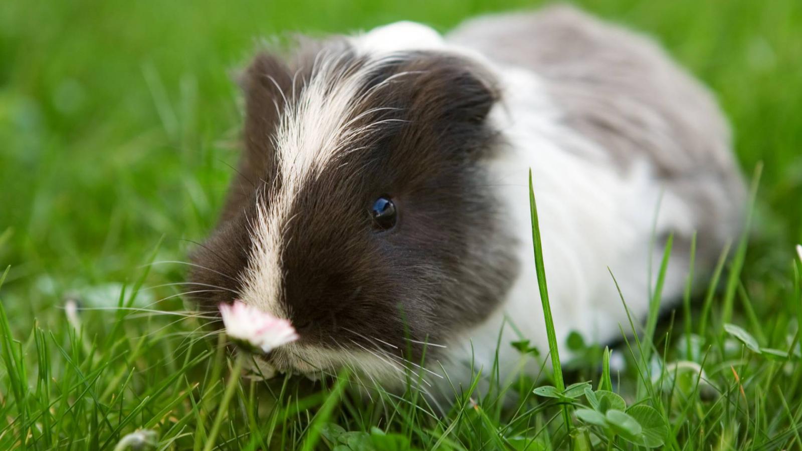 Képünk illusztráció