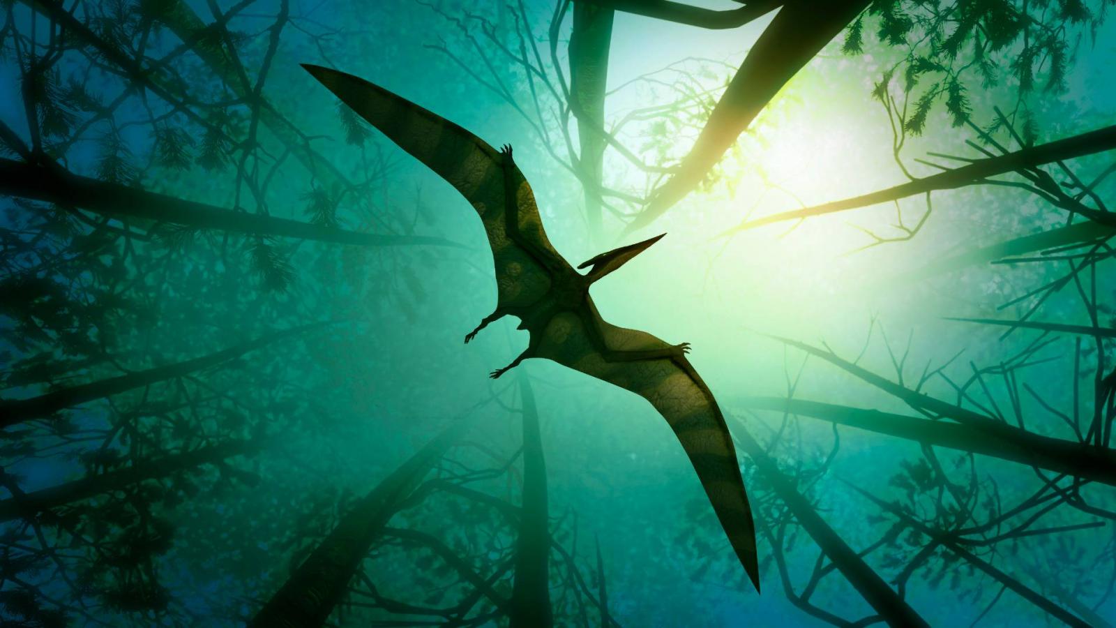 Pteranodon