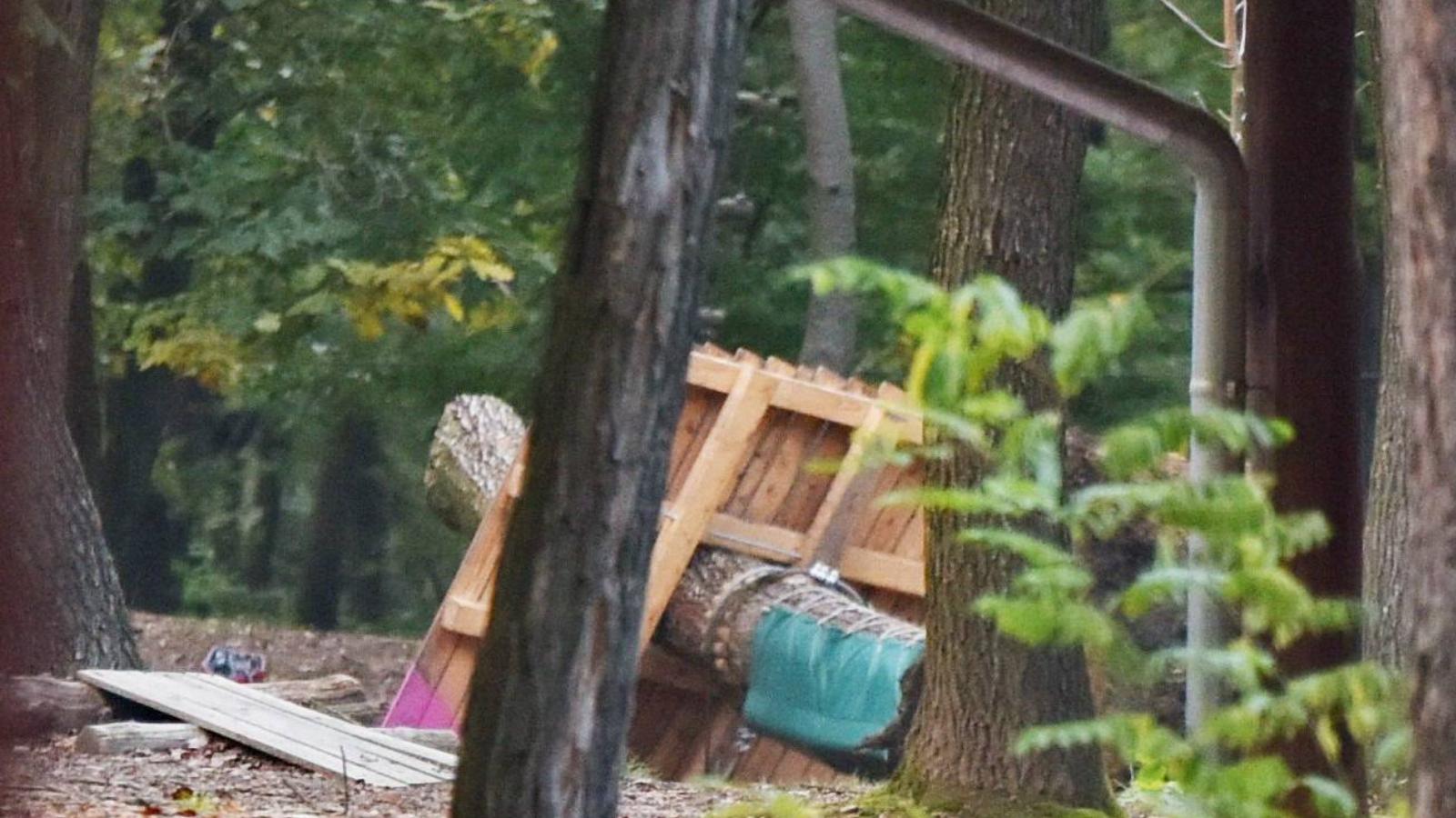 A kidőlt fának a képek tanúsága szerint koronája nem volt, csak törzse és gyökere