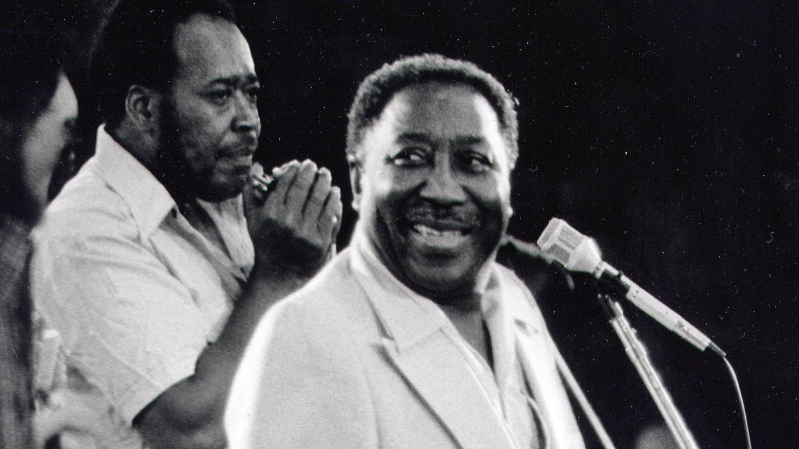 Muddy Waters