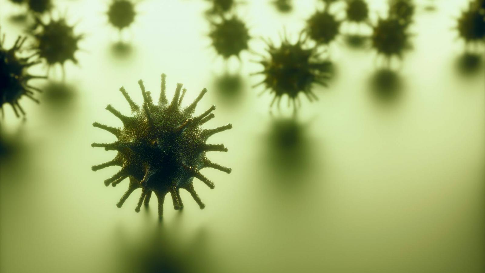 Coronavirus particles, illustration