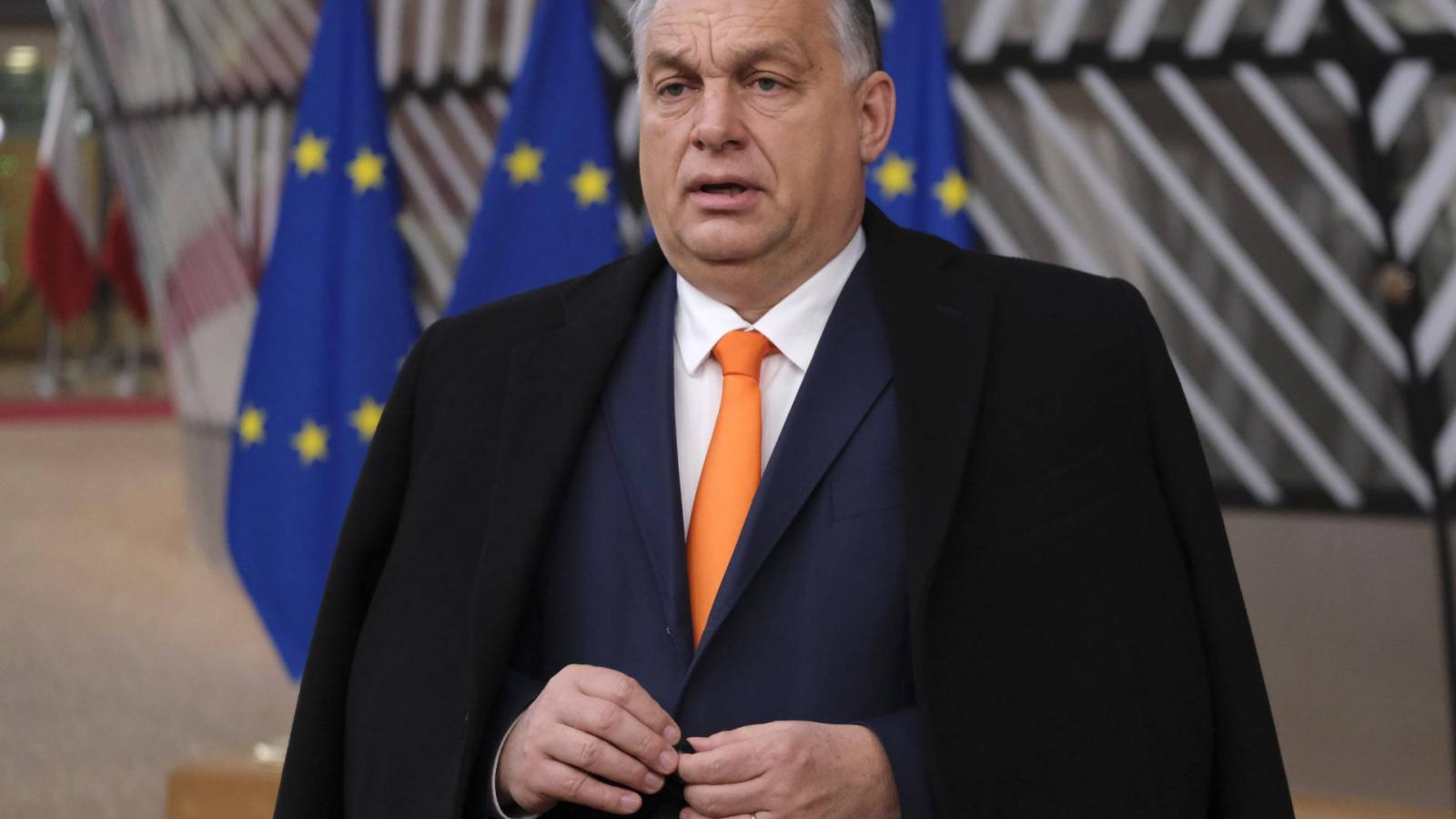 Orbán Viktor a brüsszeli „farkasverem” előtt