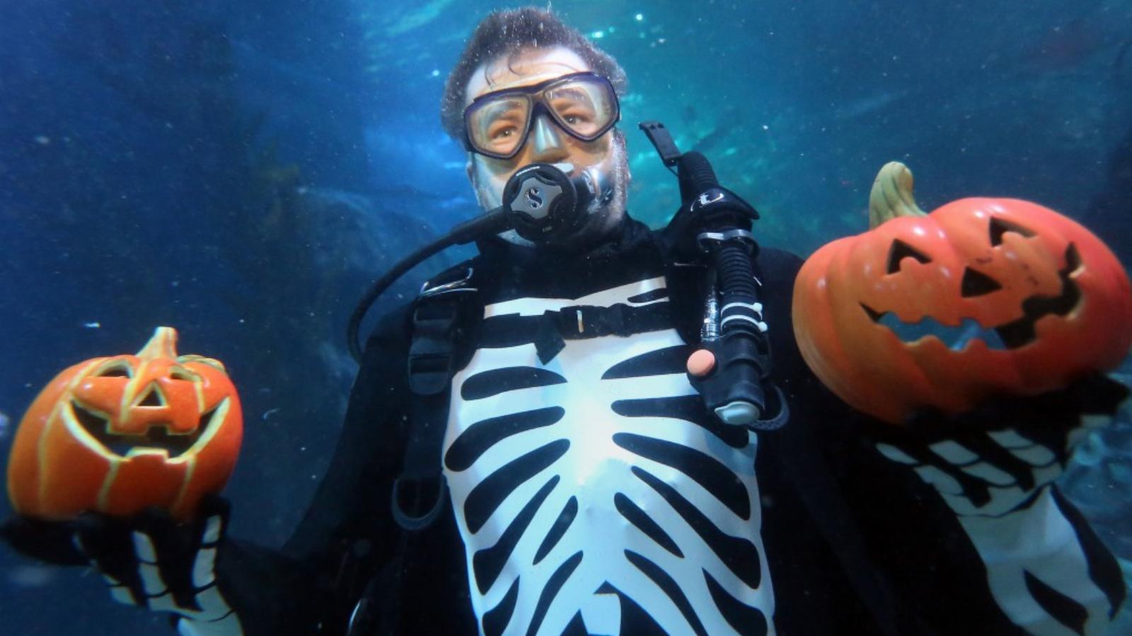 A berlini SEA LIFE & AquaDomban halloween alkalmából a világon évente legyilkolt cápákra hívják fel a figyelmet
FOTÓ: EUROPRESS/