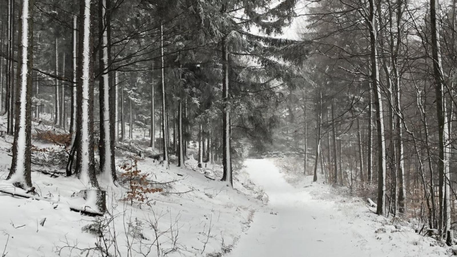 A fehérbe borult Írott-kő