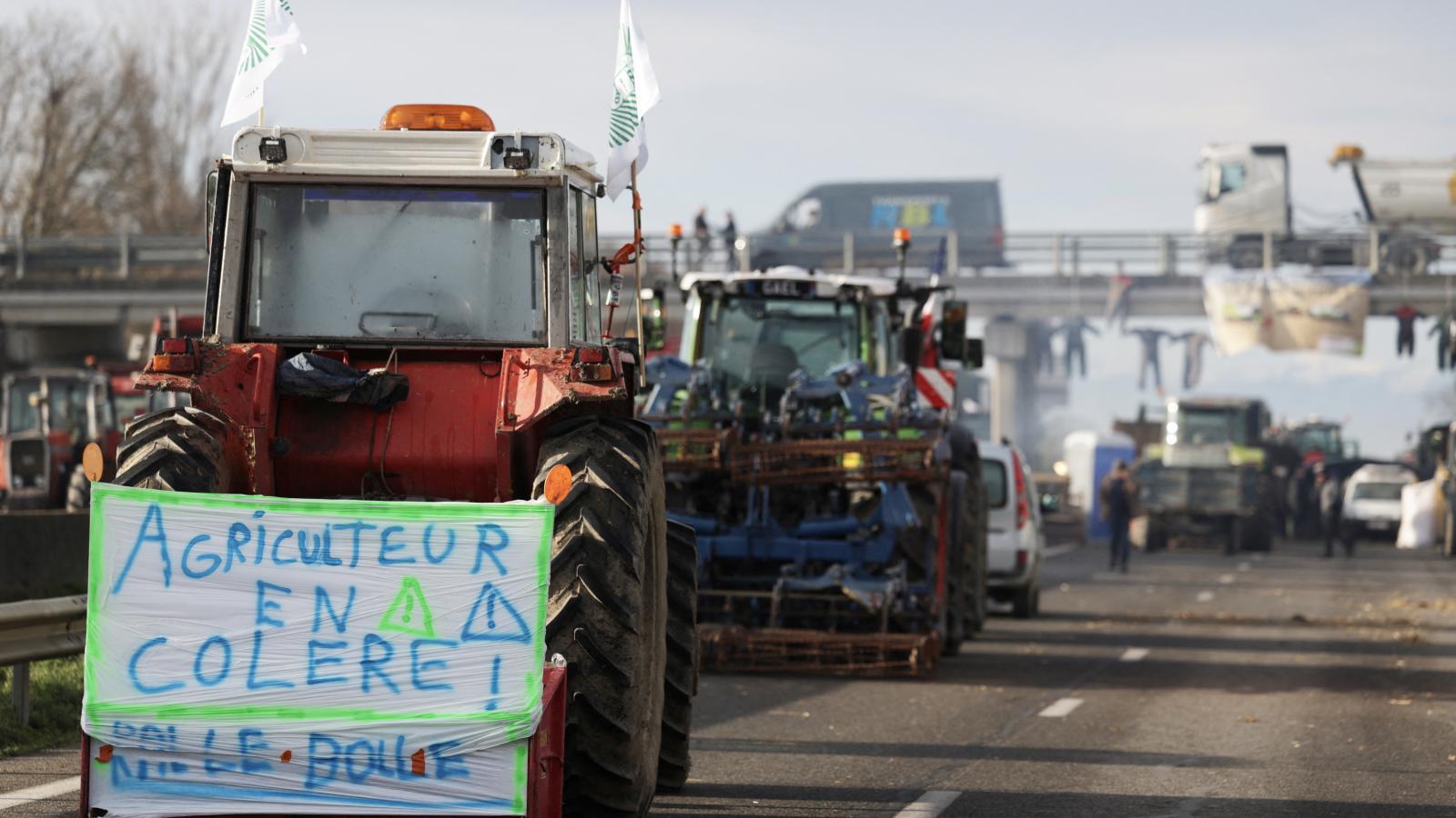 Országos méretű tiltakozást terveznek a francia gazdák