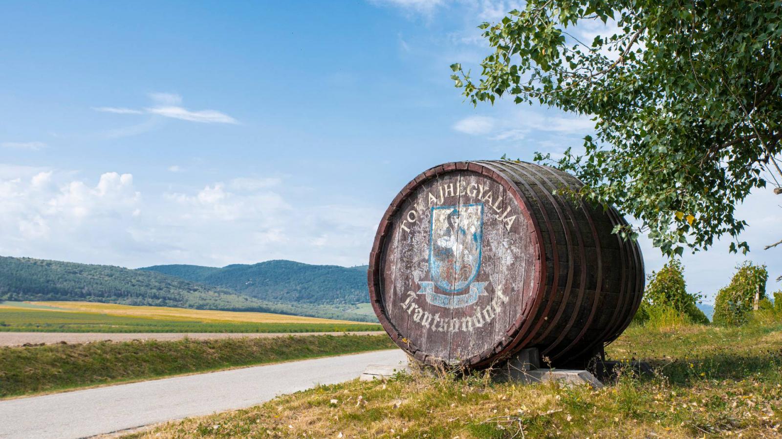 A tokaji borturizmusnak is nagy érvágás lehet a gyenge alapokra épült bicikliút beomlása 