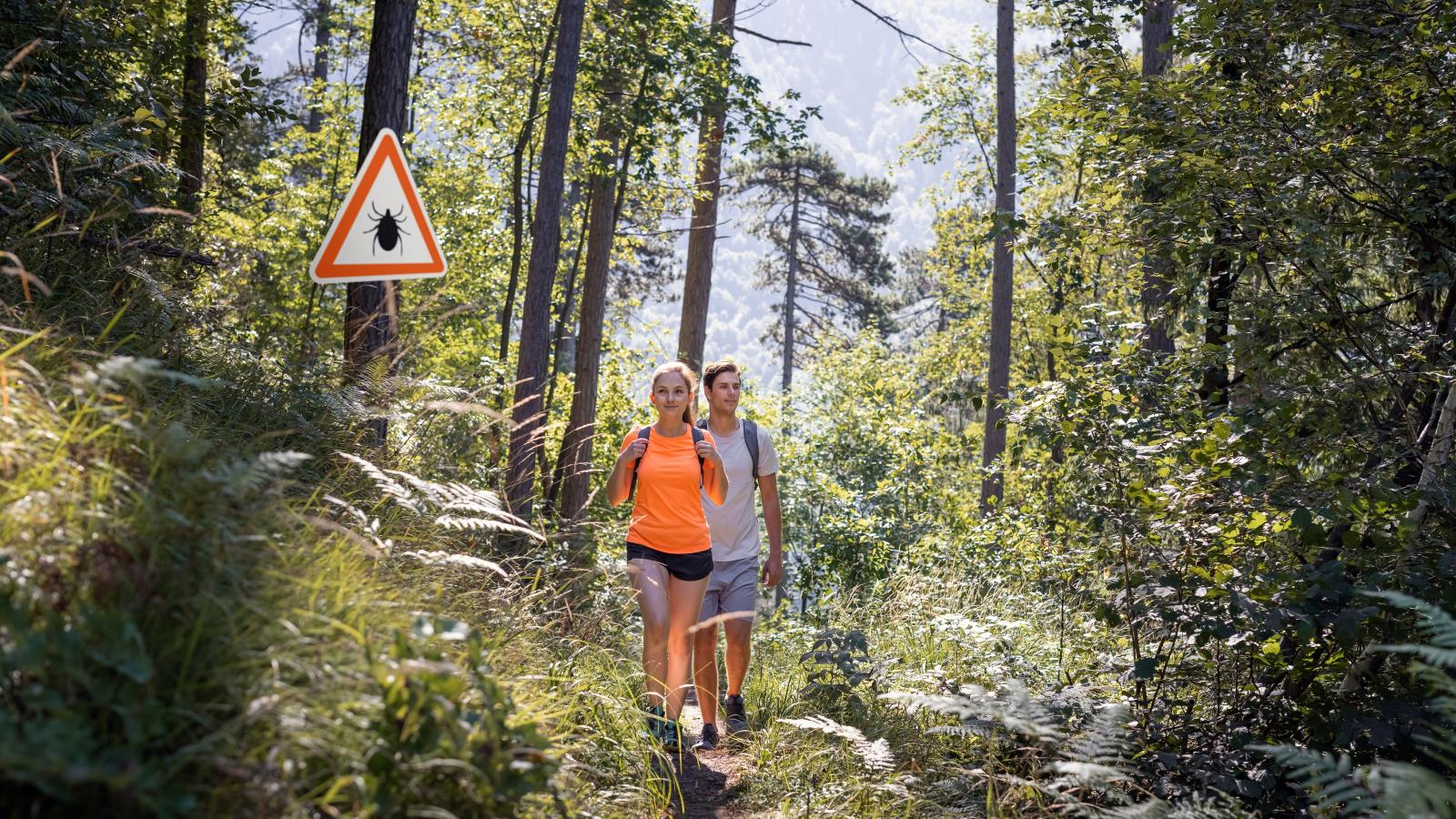 Akik gyakran kirándulnak, azoknak javasolt
a védőoltás