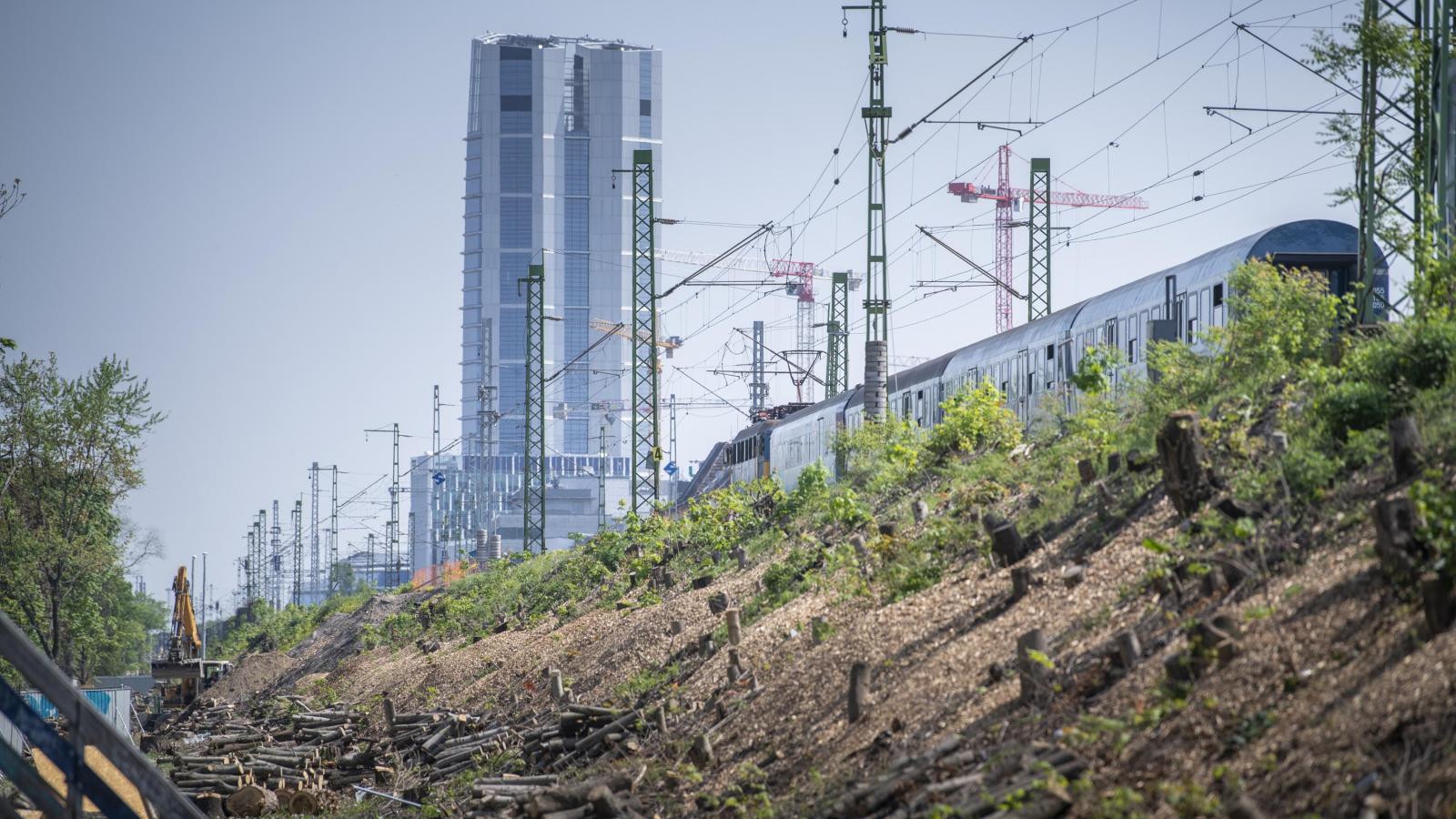 Fapusztítás a déli körvasút „fejlesztésénél”