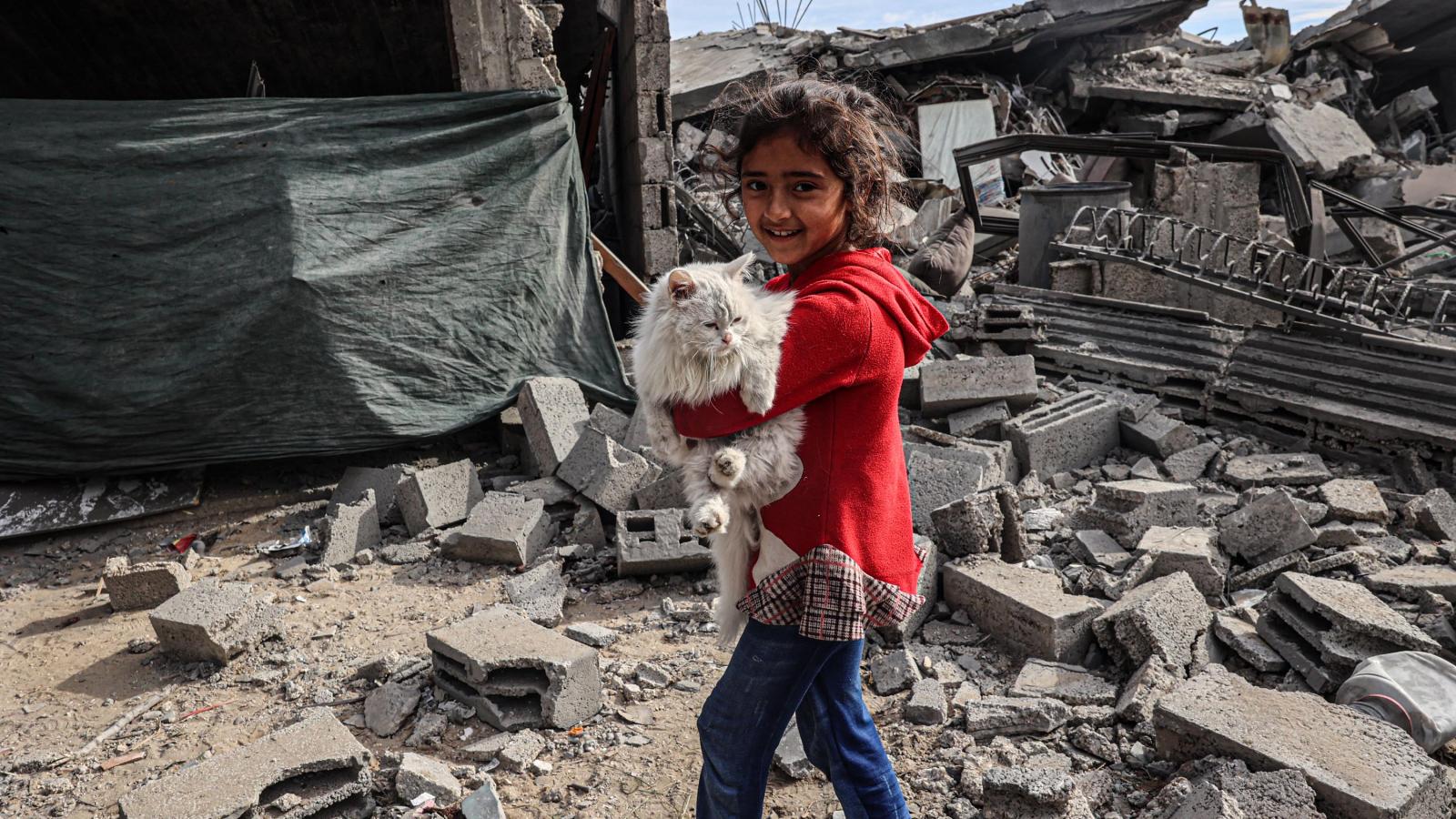 Gázai övezet déli részén fekvő Rafahban palesztin lány macskát cipel a lebombázott épületek romjai között