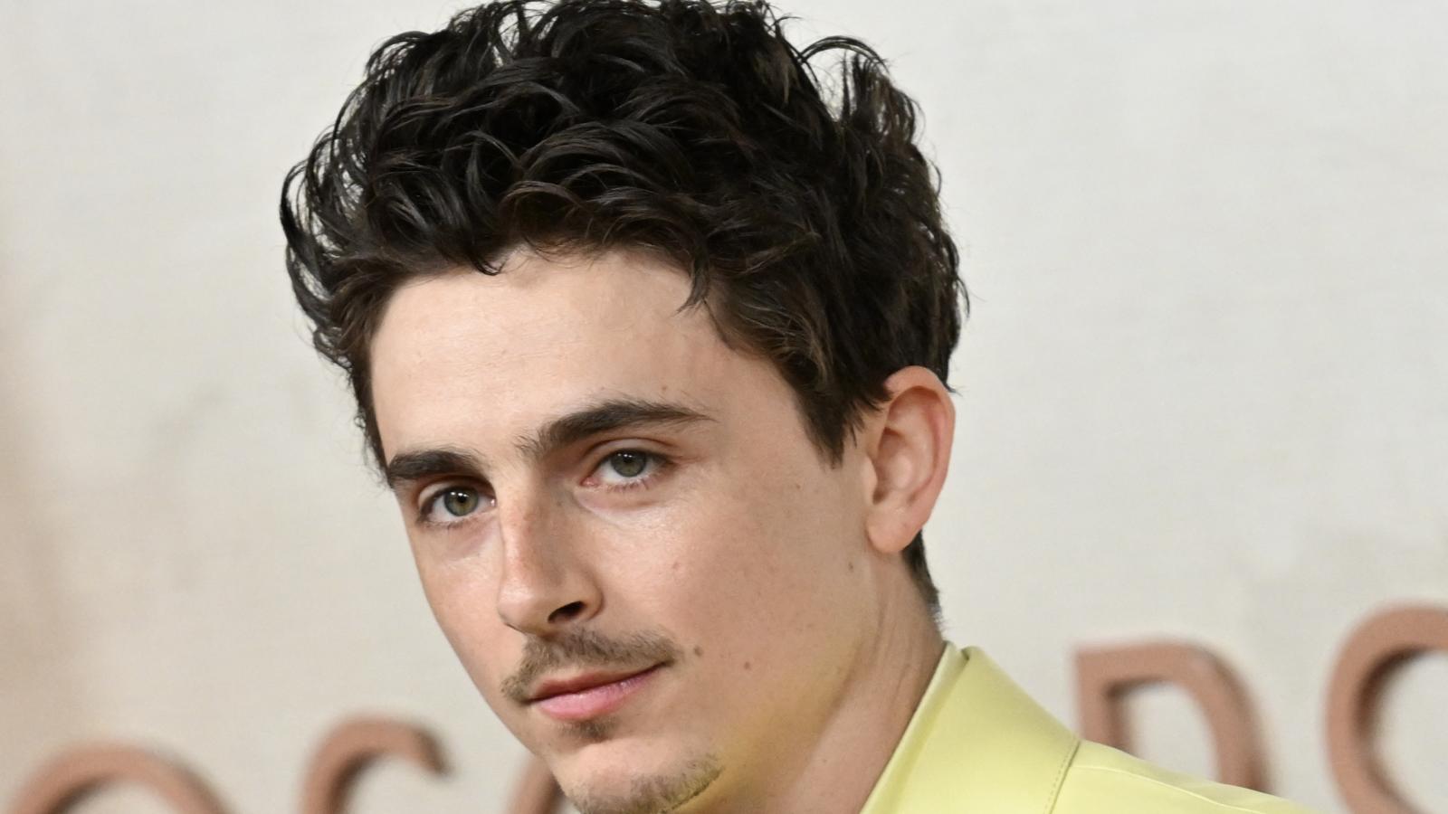 Timothée Chalamet a Népszavának: Mi értelme lenne nagy költségvetésű karaokét rendezni?