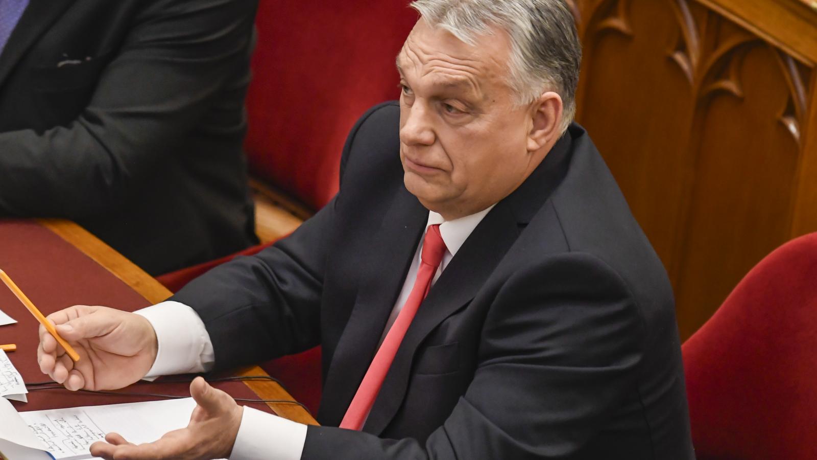 Orbán Viktor tulipáncsokrokat vásárolt, Magyar Péter áttörné a nőket korlátozó üvegplafont