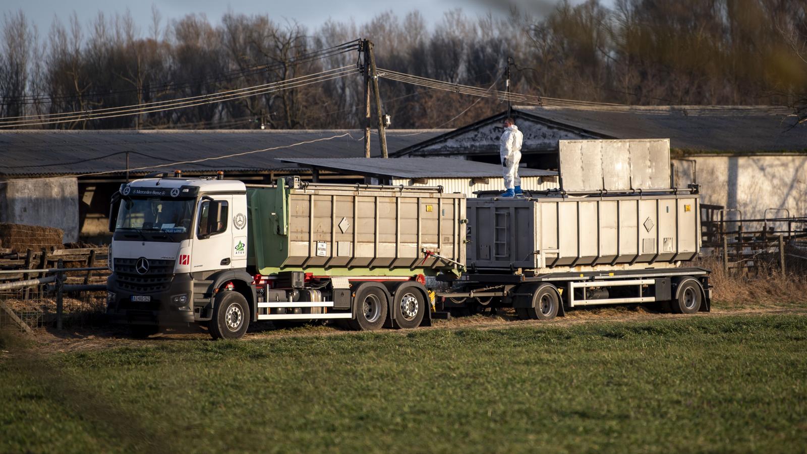 Az állattartók körében nagy a riadalom, létkérdés az 50 év után Magyarországon újra megjelent száj- és körömfájás terjedésének megállítása