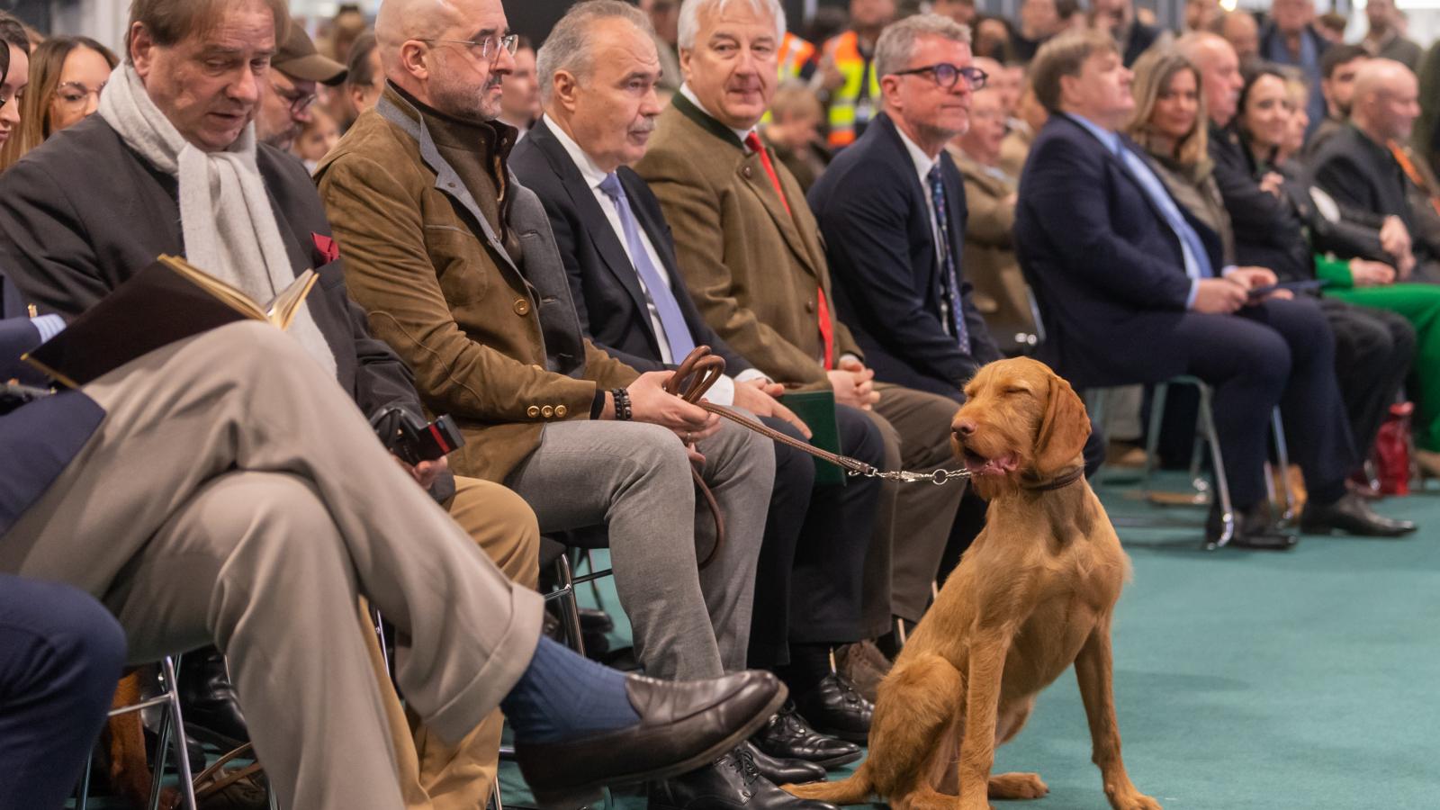 Évi félmilliárd forintból a magyar adófizetők tartják életben a Nimród Vadászújságot