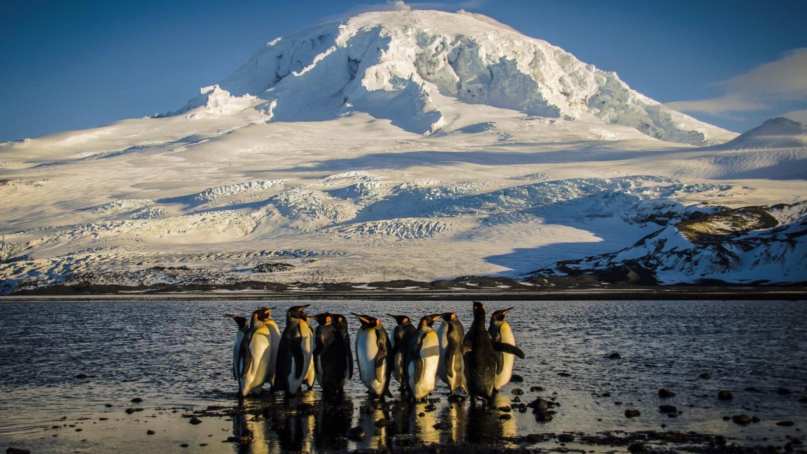 Heard-szigeti életkép