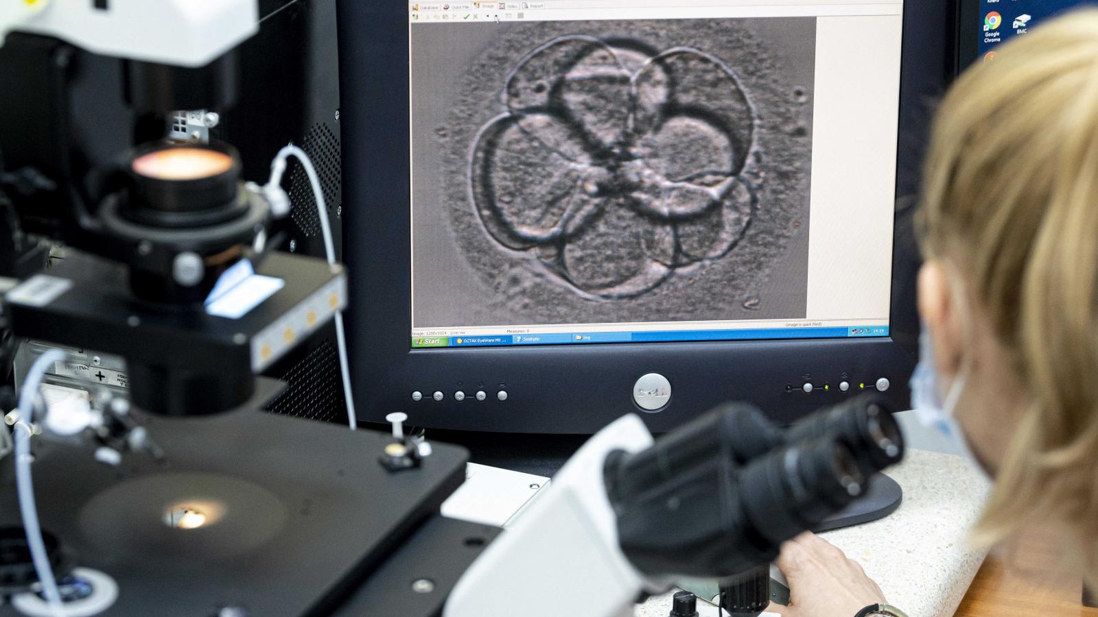 Tíz év után, két inszeminációval, 8 lombikkal és 5 intézettel a hátuk mögött végül feladták