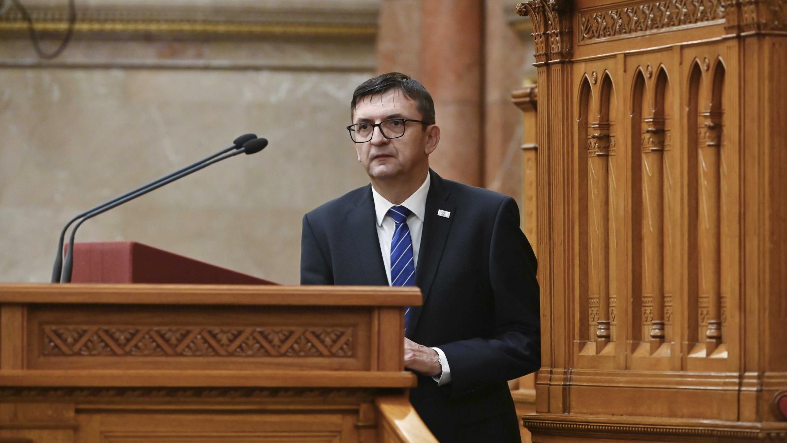 Domokos László - Korábbi felvétel 