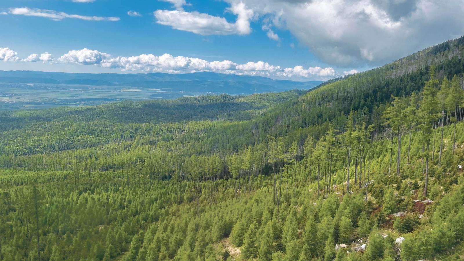 A Tátra afféle közös, közép-európai szimbólumunk