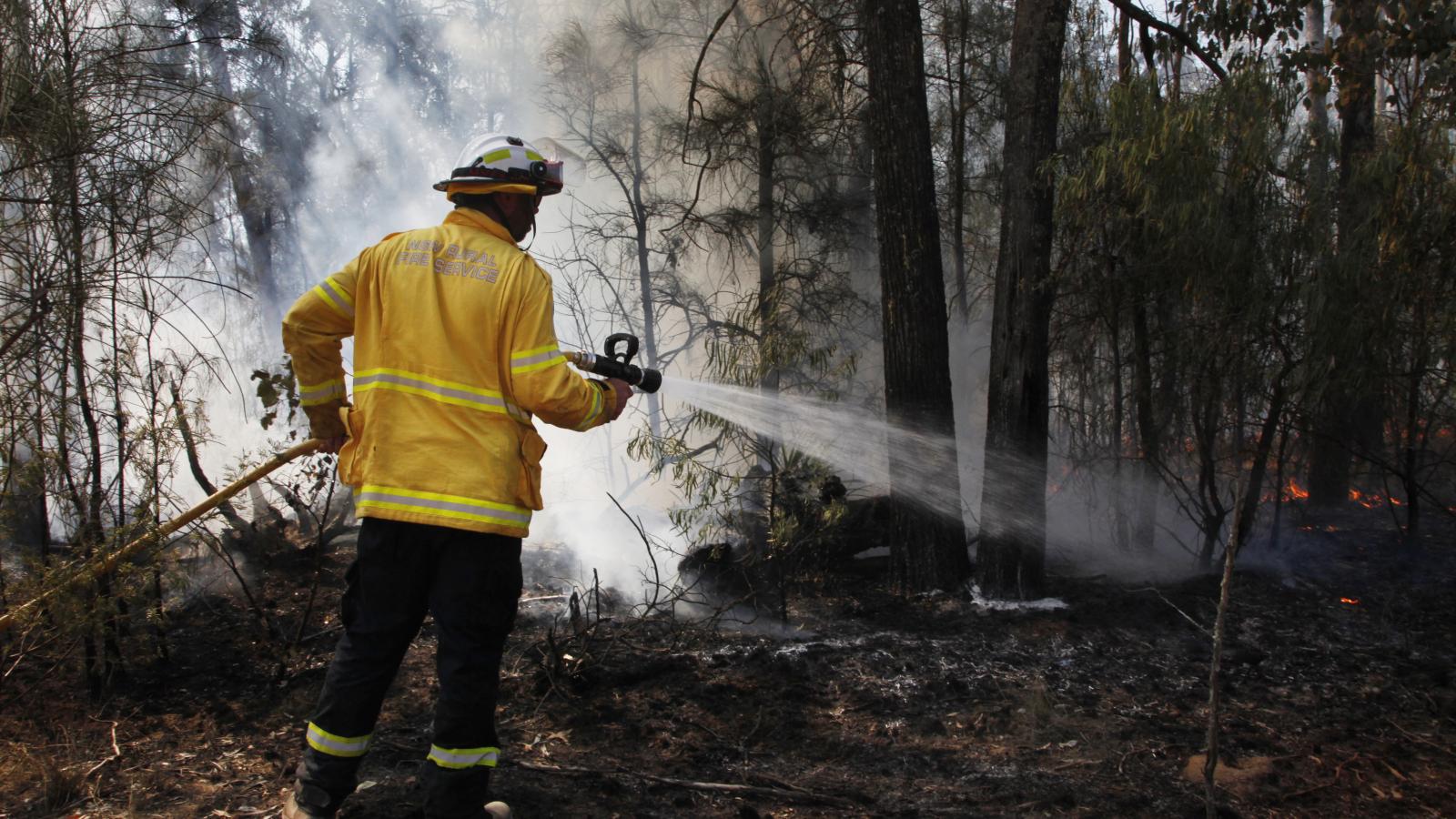 Bozóttűz (illusztráció). 