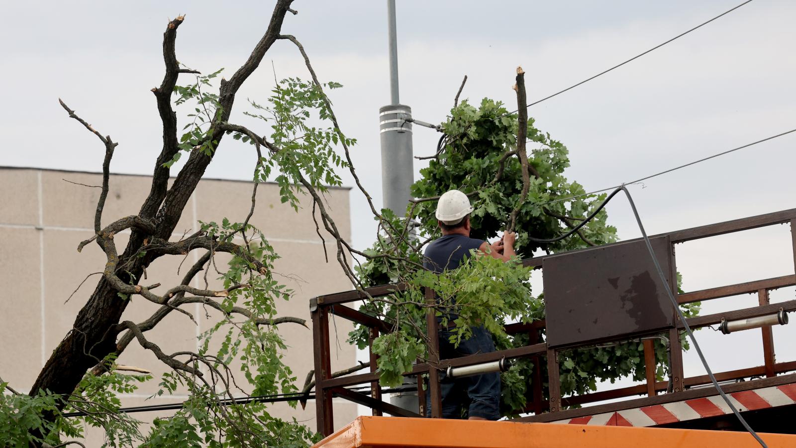 A viharban letört, vezetékre zuhant faágat távolítanak el Miskolcon július 7-én.