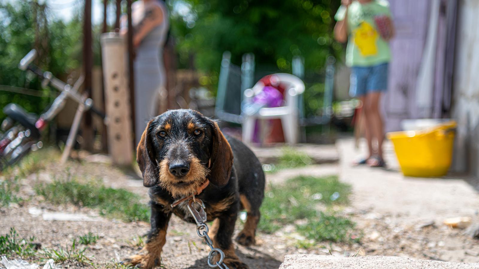 A rendelet szerint július 1-jétől minden adásvételi szerződést, amit Mezőkeresztesen megkötnek, be kell nyújtani a polgármesteri hivatalba, és az önkormányzat pénzügyi bizottsága eldönti: él-e az önkormányzat az elővásárlási jogával vagy nem