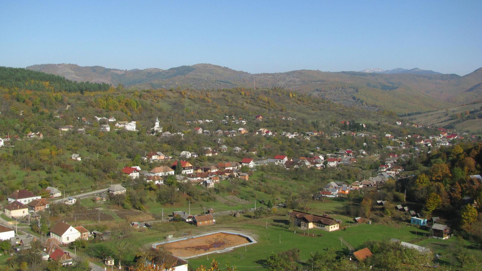 Rónaszék, illusztráció.