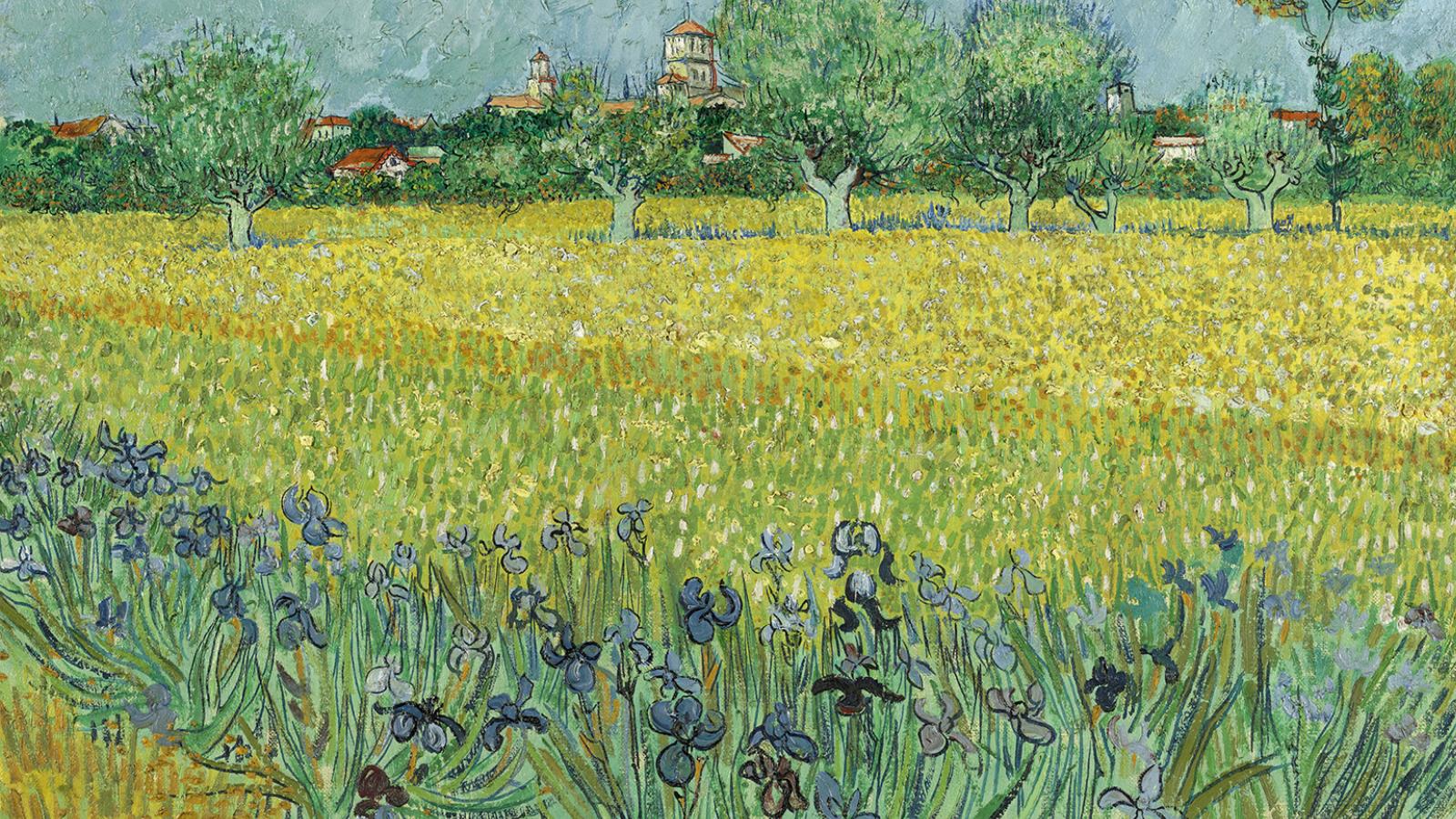 Vincent van Gogh: Mező íriszekkel Arles közelében (1888)