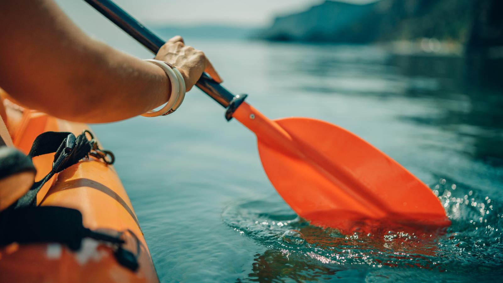 Képünk illusztráció