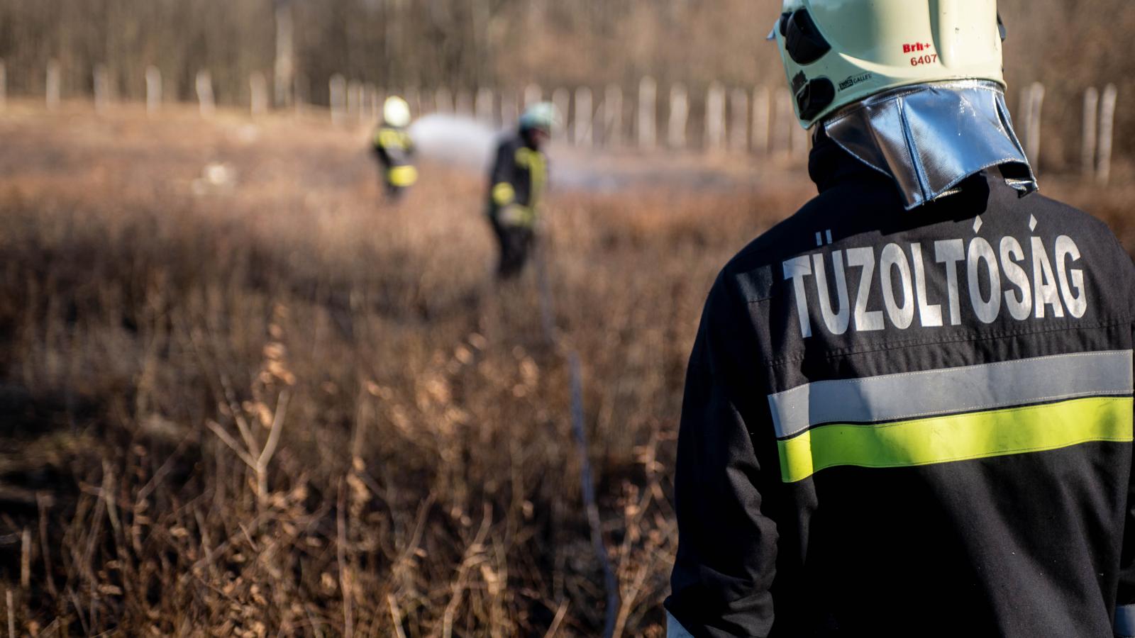 Képünk illusztráció