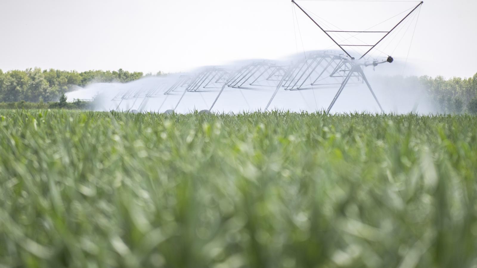 Az EU Víz Keretirányelve kötelező érvényű minden tagállamra, a magyar kormány nem tartja be ezeket az előírásokat