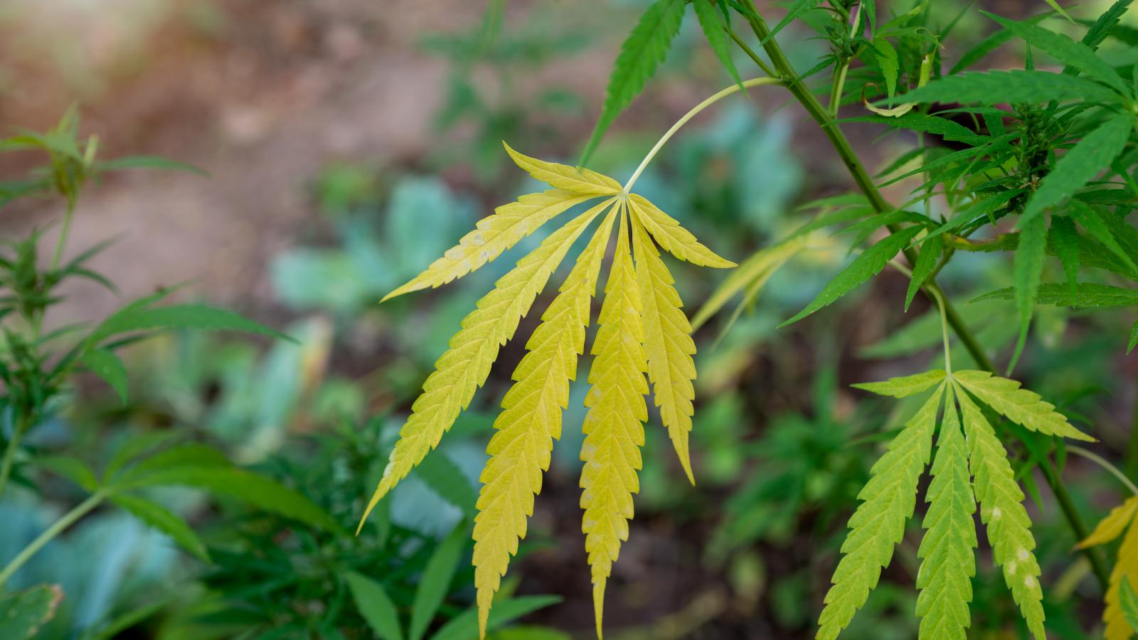 Képünk illusztráció.