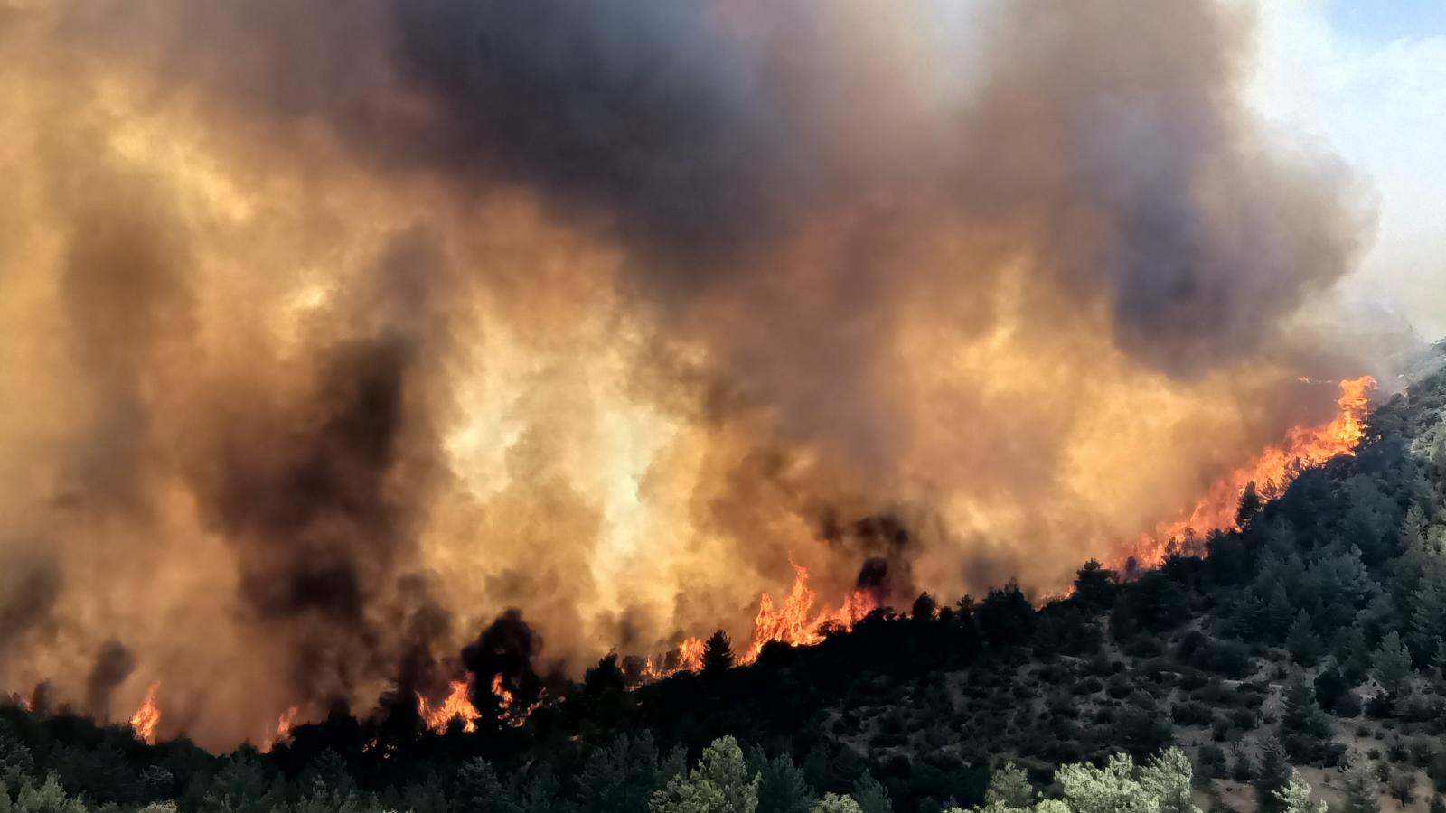 A nagy hőség erdőtüzek százait okozza Európában, Olaszországban és Albániában volt halálos áldozat is