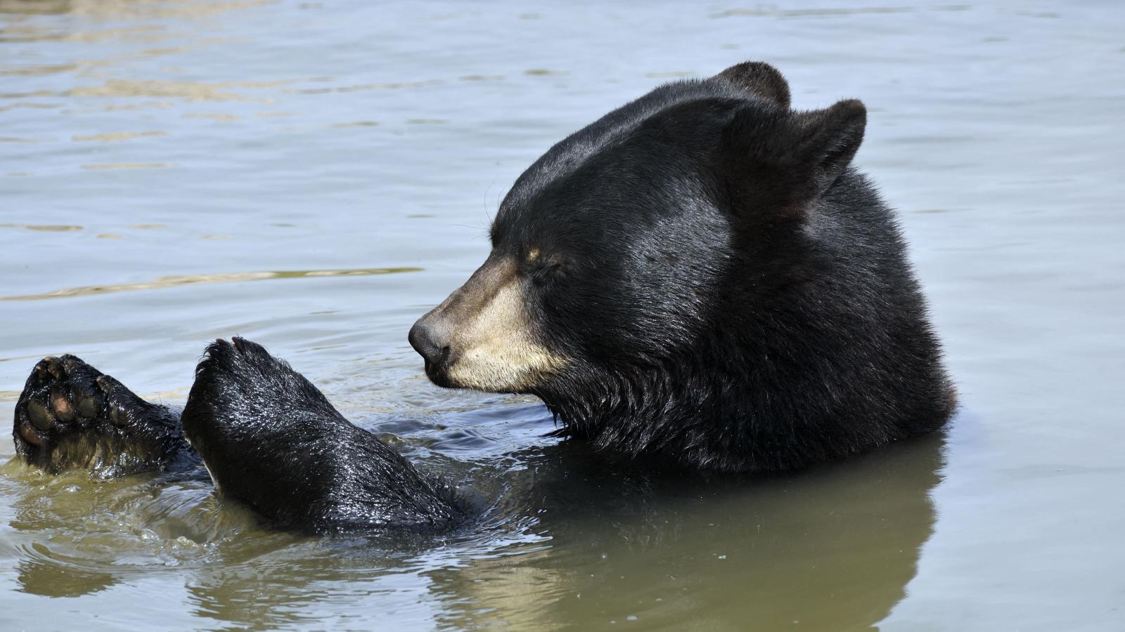 Képünk illusztráció