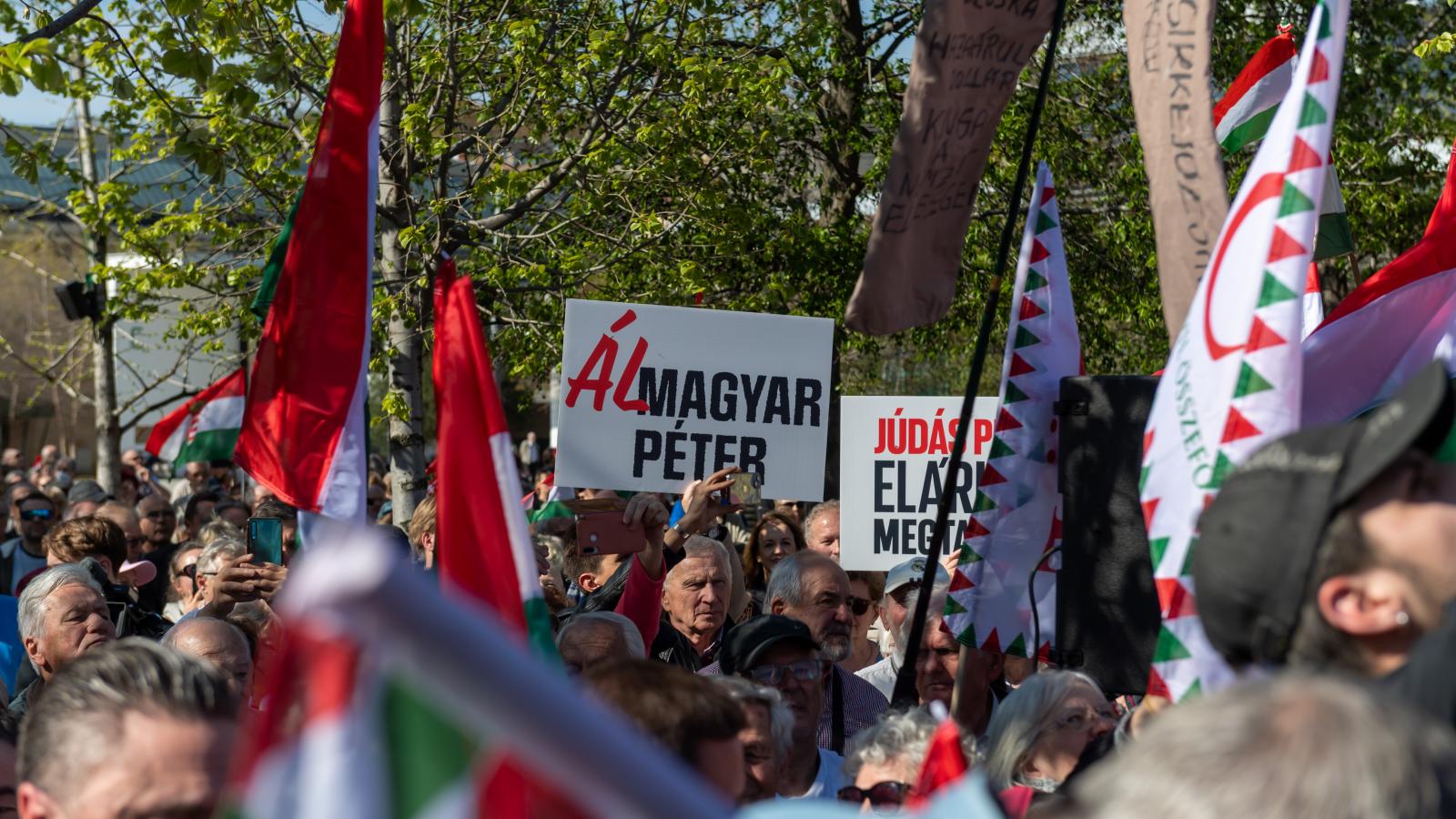 Szimpatizánsok a Nemzeti Ellenállás Mozgalom és a CÖF közös demonstrációján április 12-én