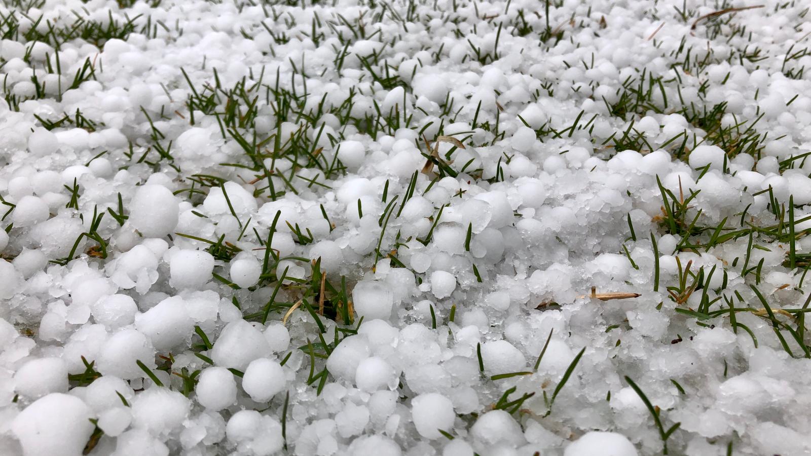 Képünk illusztráció. 