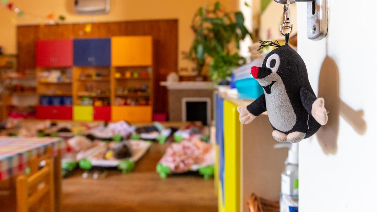 Képünk illusztráció