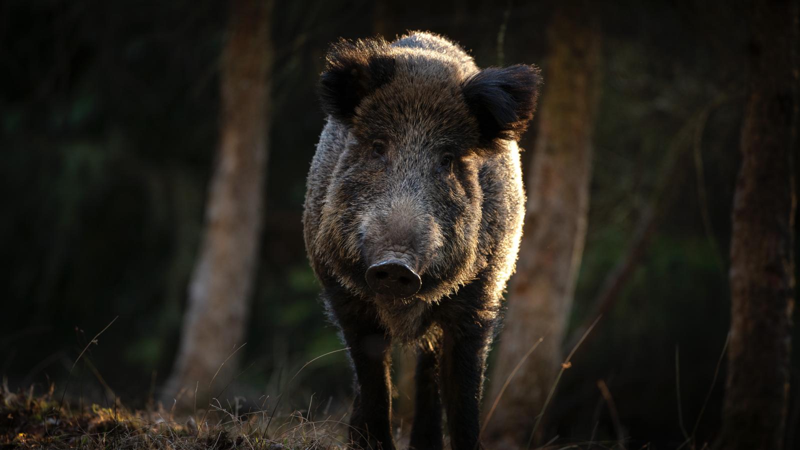 Képünk illusztráció 