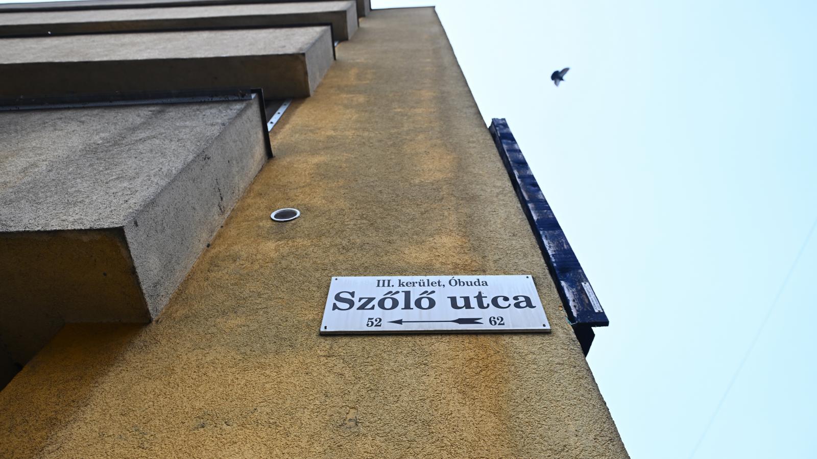 Édességgel és pizzával csak az igazgató és annak helyettese jutalmazhatott a Szőlő utcai javítóintézetben