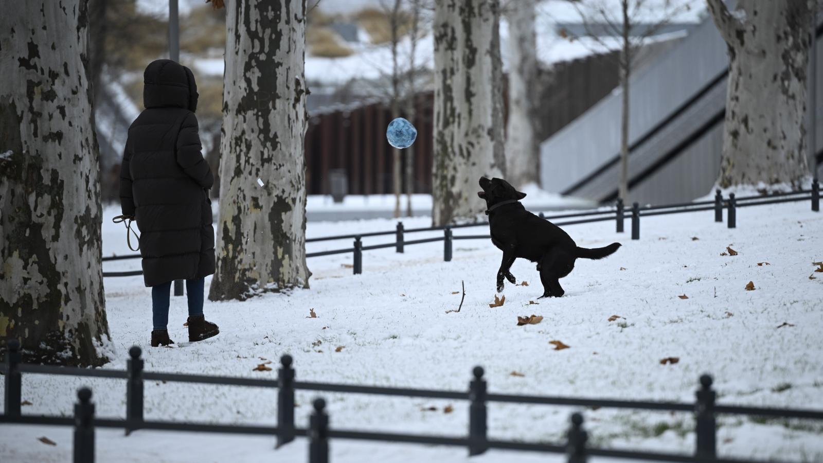 Csaknem az egész országban havazást hozott a szilveszter