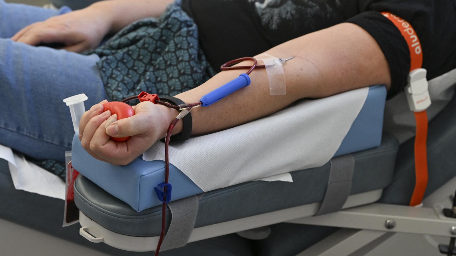 Versenynek nincs nyoma, a Bayer Zsolt felesége vezette OVSZ most 19,3 milliárdért adott el vérplazmát egy ismert tulajdonosi körnek