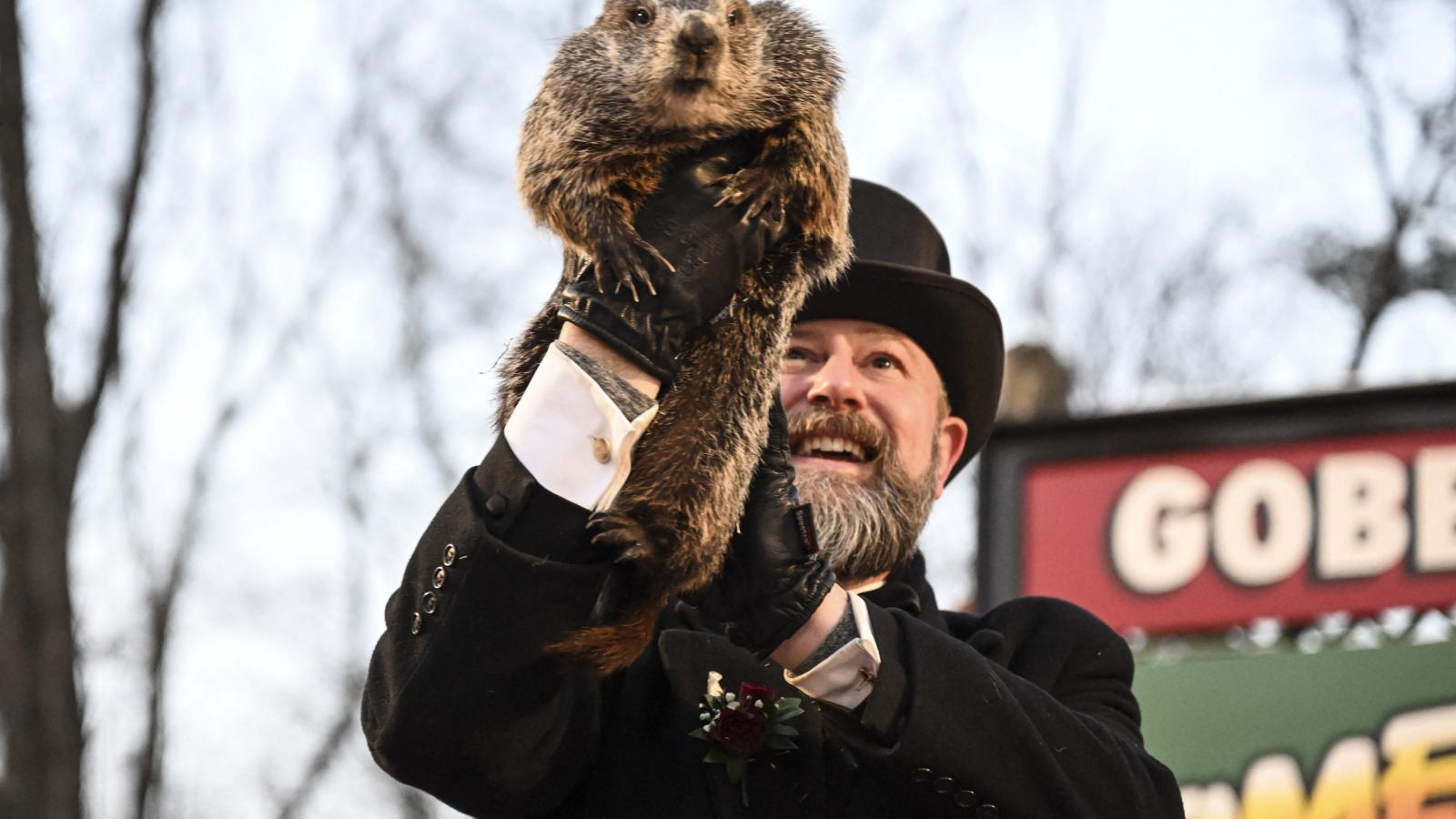 Punxsutawney Phil a Mormota-nap ünnepségen Pennsylvaniában, az Egyesült Államokban, 2023. február 2-án.