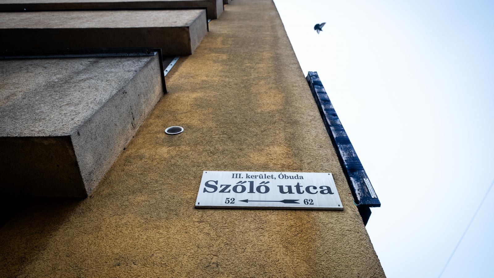 Nyilvánosságra kerültek az adatok, csak 2024-ben a dolgozók egyharmada távozott a magyarországi gyermekvédelmi intézményekből