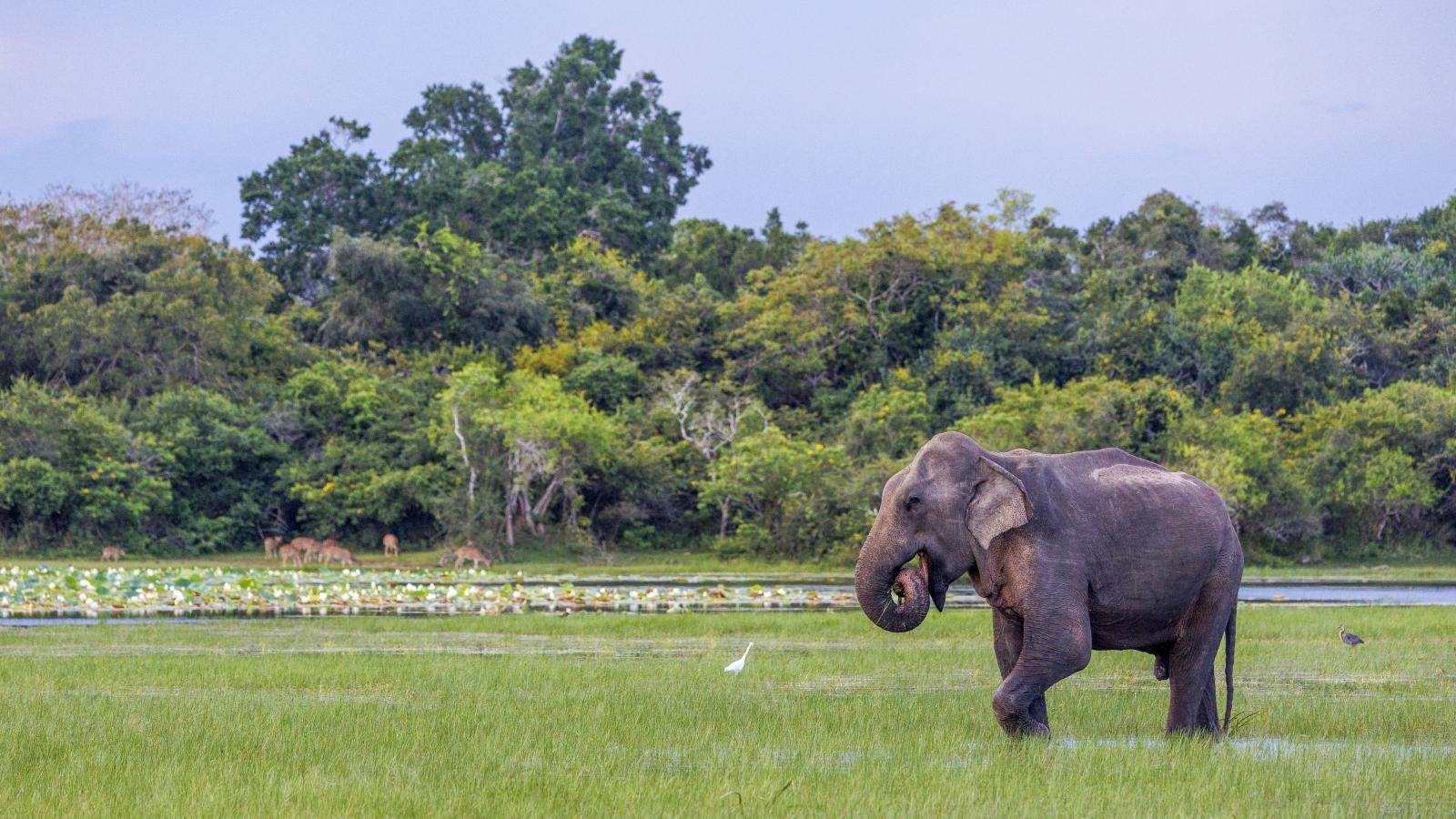 Képünk illusztráció
