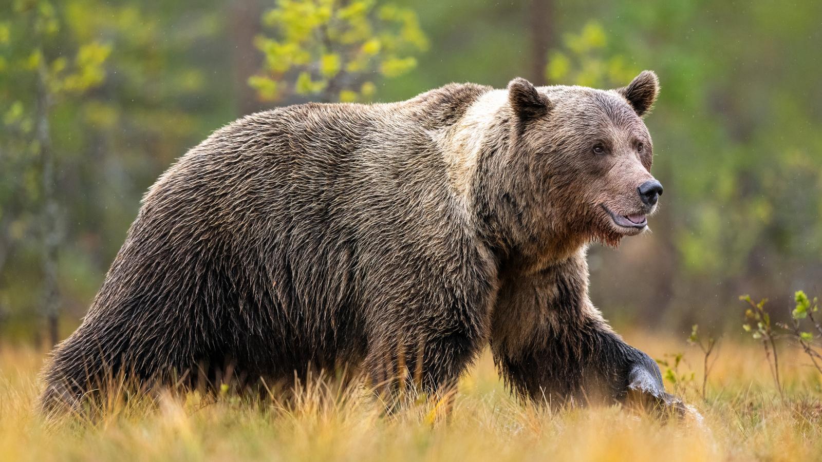 Képünk illusztráció 