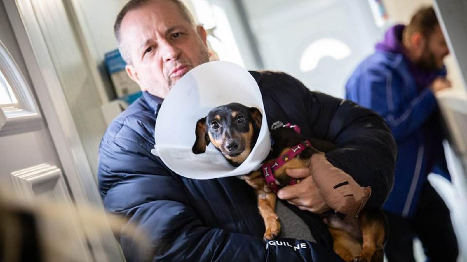 Budai Gyula országgyűlési képviselő egy bántalmazott tacskóval február 4-én 