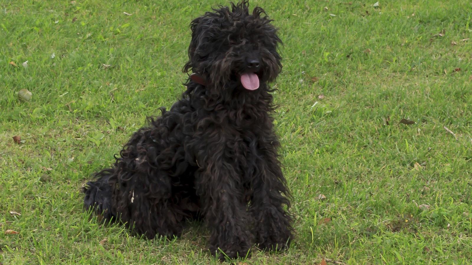 Illusztráció/Thinkstock