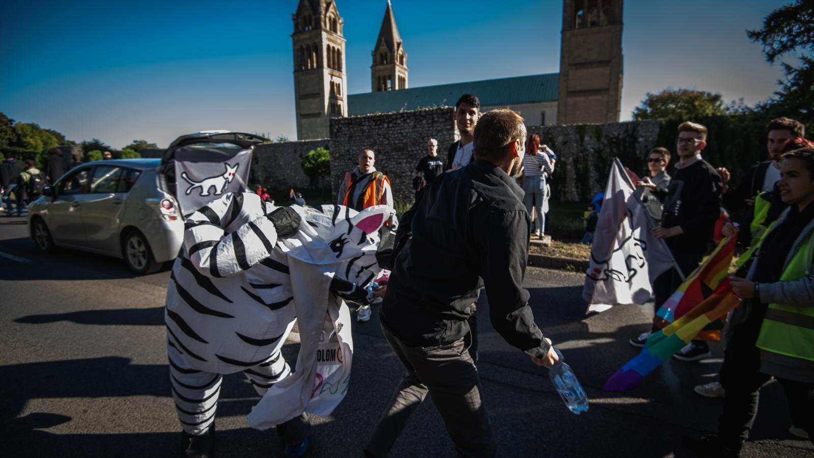 Egy év szabadságvesztésre ítélték a férfit, aki a pécsi Pride-on rátámadt a táncoló zebrára
